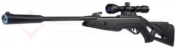 Carabine GAMO Whisper IGT